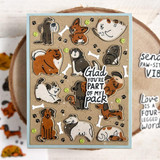 Handmade greeting card with dogs, bones, and tennis balls on it with glad you're part of my pack sentiment on it.