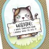 Handmade greeting card with grumpy cat on it and warning: I have sarcasm and I know how to use it sentiment on it.