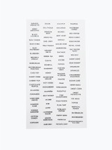 Image of True Colors Carrier Sheet (updated Jan 2026) which holds stamp for papercrafting.