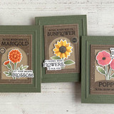 Seeds & Such Background Stamp