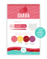Image of Palette Playbook - Guava which is a pink color.