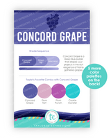 Image of Palette Playbook - Concord Grape which is a purple color.