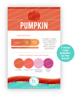 Image of Palette Playbook - Pumpkin which is an orange color.