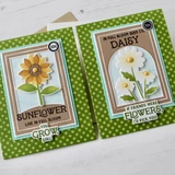Two handmade greeting cards with flowers on each and different plant sentiments on each.