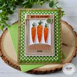 Handmade greeting card with carrots on it and just add sunshine sentiment on it.