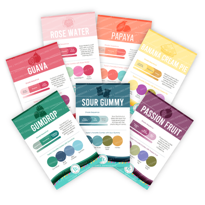 Graphic of Palette Playbook -Trendy Rainbow Bundle.