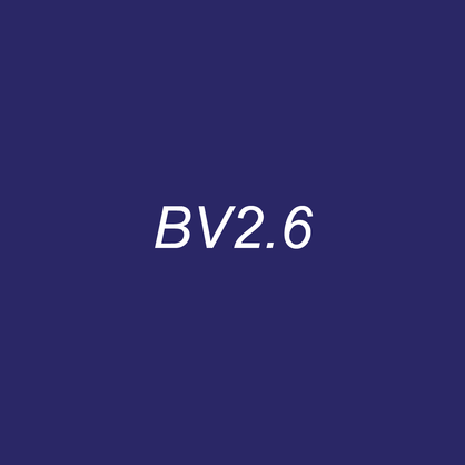 OLO Brush Half - BV2.6 Indigo