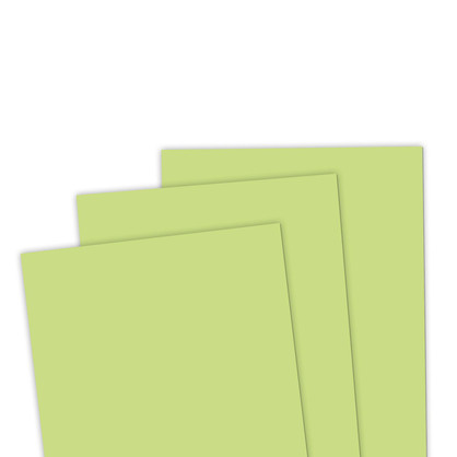 TE Premium Cardstock - Granny Smith TE Premium Cardstock - Granny Smith