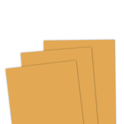 TE Premium Cardstock - Honey