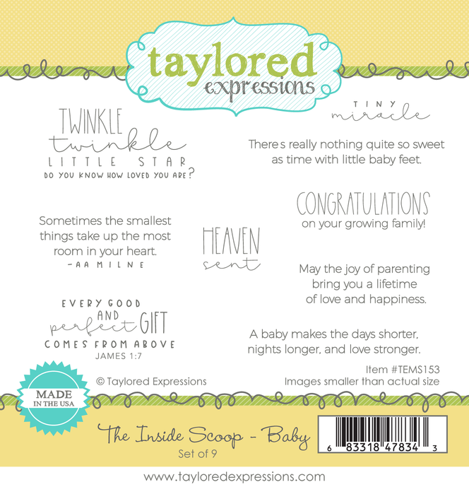 The Inside Scoop Stamp Set - Baby
