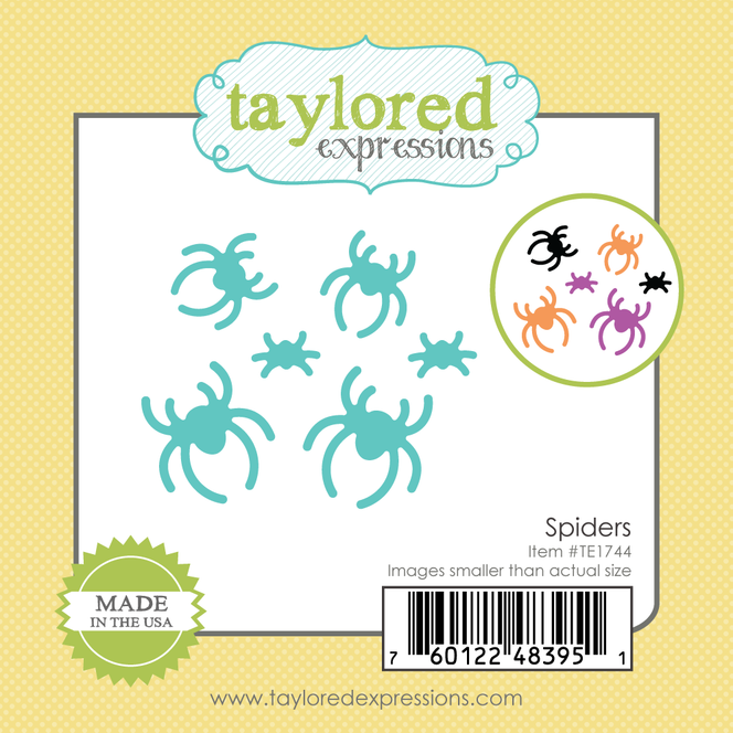 Little Bits - Spiders