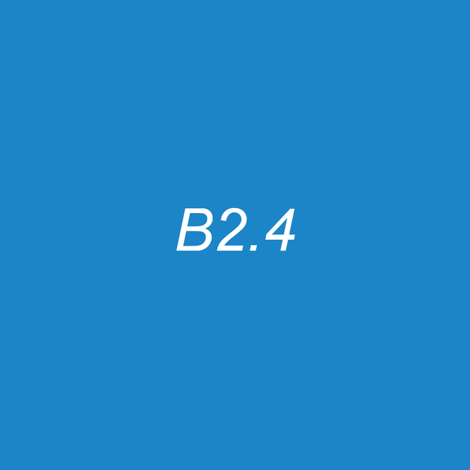 OLO Brush Half - B2.4 Bluebird