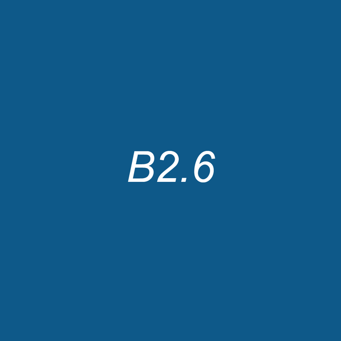 OLO Brush Half - B2.6 Azure