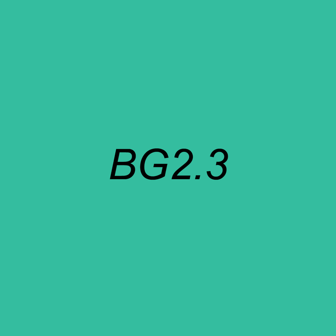 OLO Brush Half - BG2.3 Aqua Green