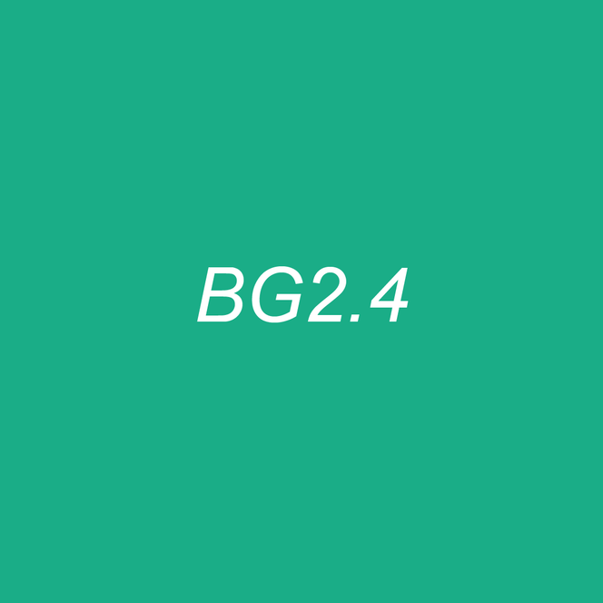 OLO Brush Half - BG2.4 Fluorite