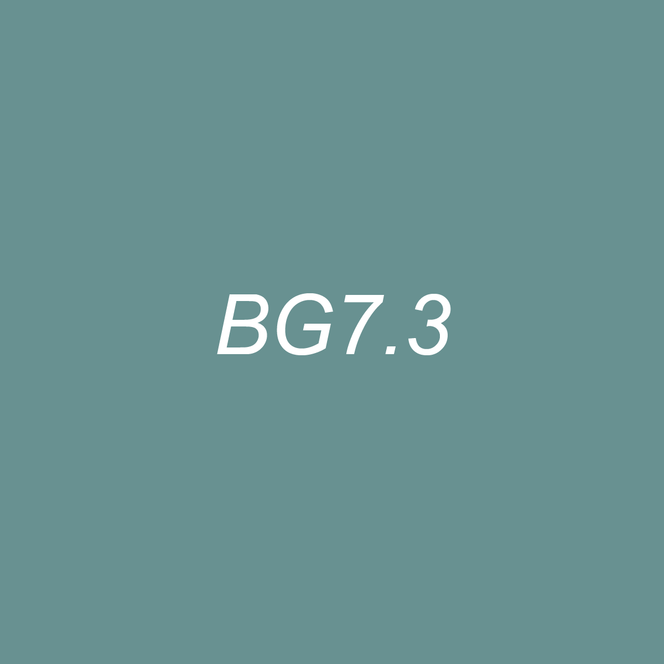OLO Brush Half - BG7.3 Blue Spruce