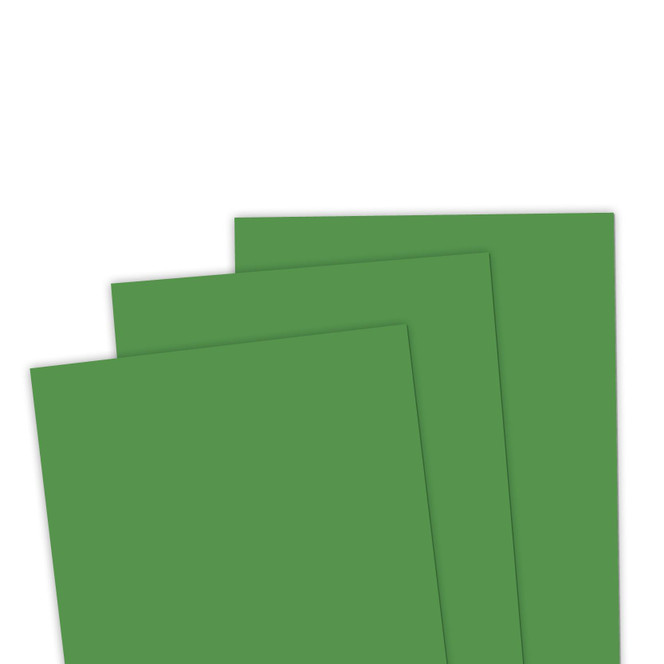 TE Premium Cardstock - Cilantro