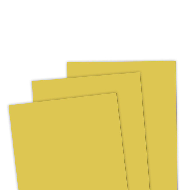 TE Premium Cardstock - Dijon