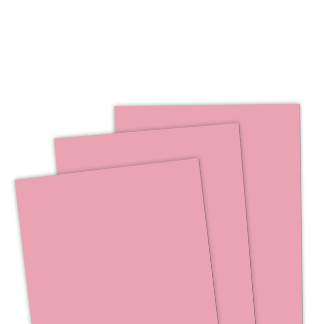 TE Premium Cardstock - Pink Champagne