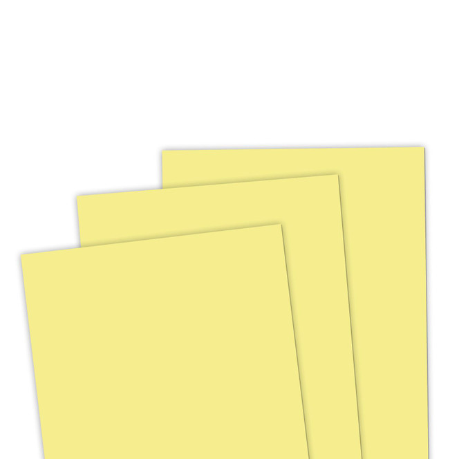 TE Premium Cardstock - Potato Chip
