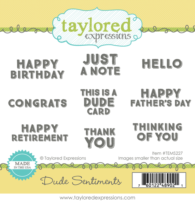 Dude Sentiments Stamp Set