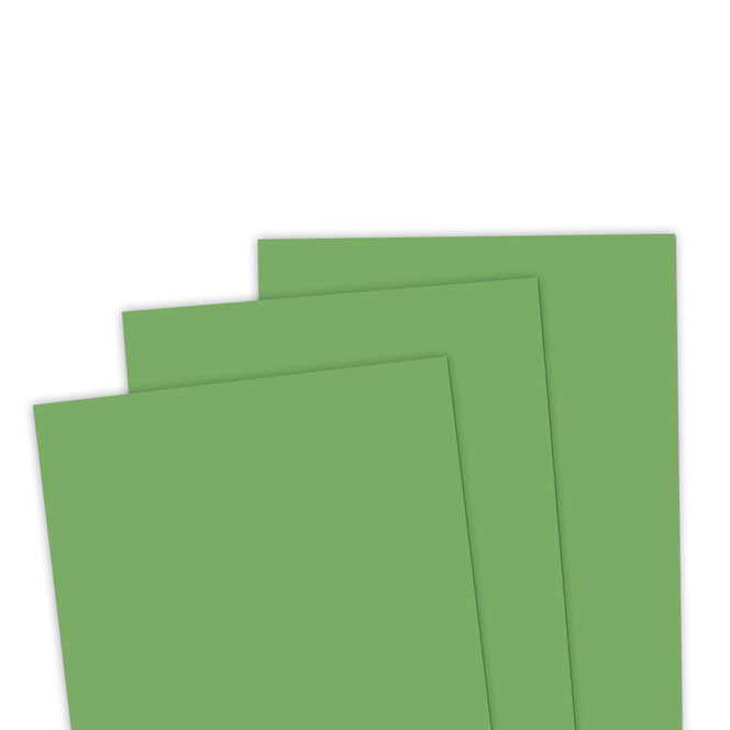 TE Premium Cardstock - Dill Pickle