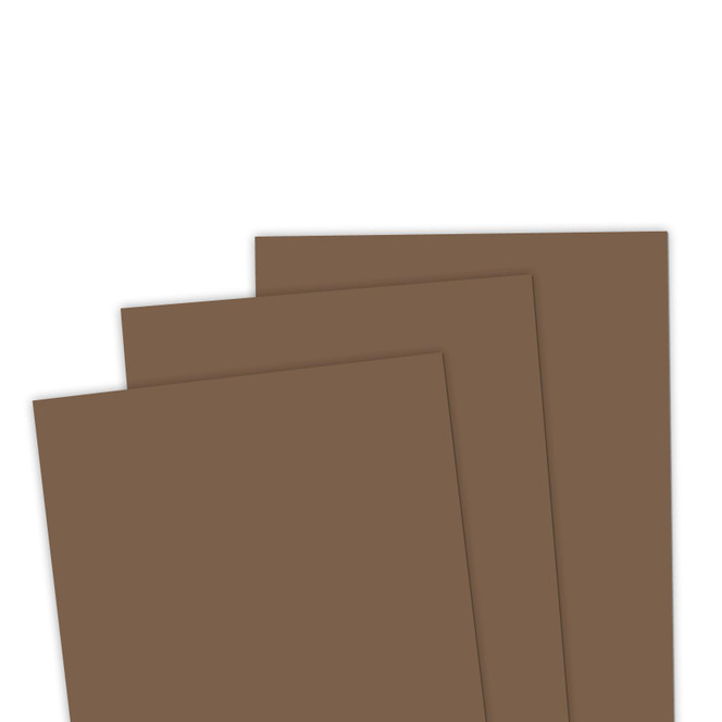 TE Premium Cardstock - Cinnamon