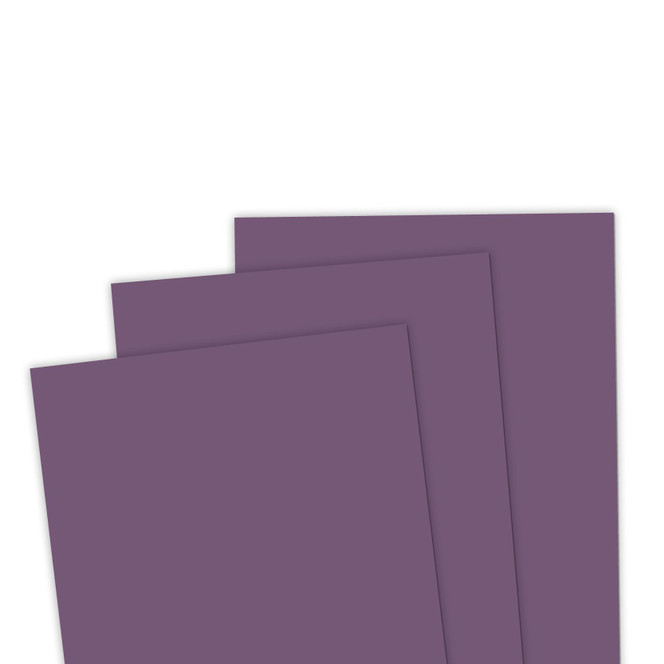 TE Premium Cardstock - Huckleberry
