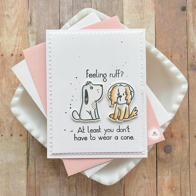 Handmade greeting card with two dogs on it and feeling ruff? At least you don't have to wear a cone sentiment on it.
