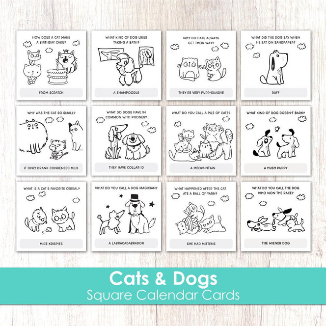 Square Calendar Cards - Cats & Dogs