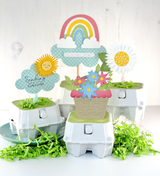 Egg Carton