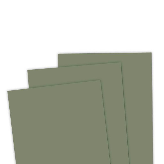 TE Premium Cardstock - Green Tea