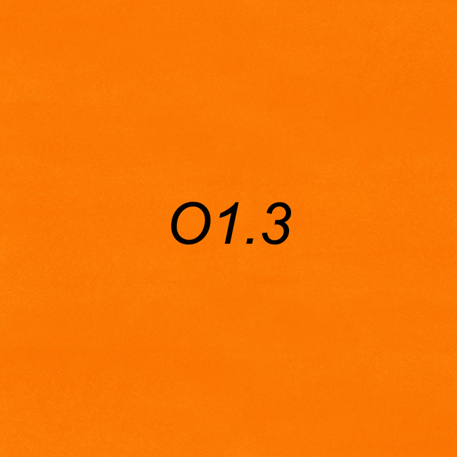 OLO Brush Half - O1.3 Marigold