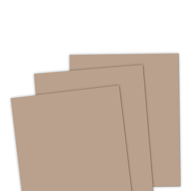 TE Premium Cardstock - Latte