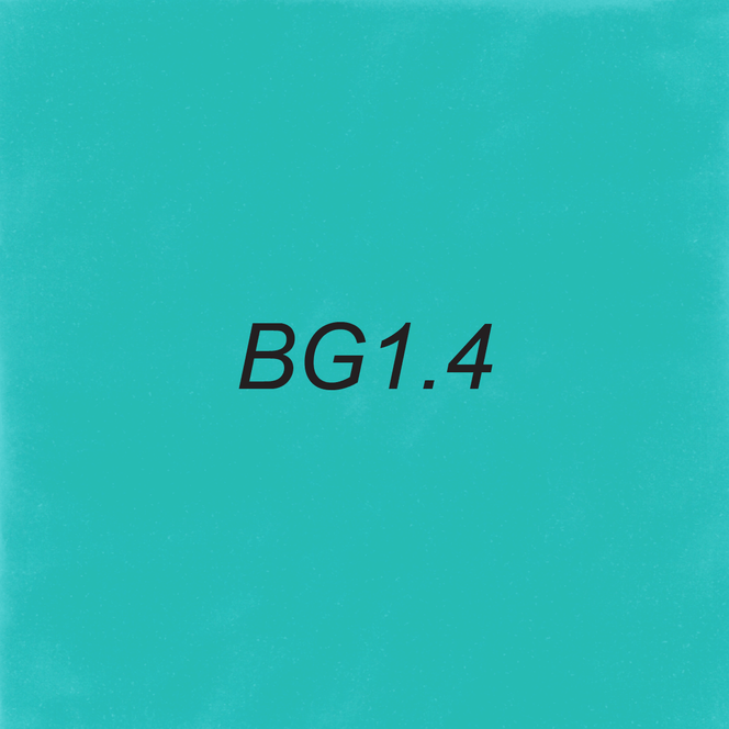 Image of OLO BG1.4 Robin's Egg which is an OLO marker color.