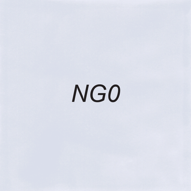 Image of OLO NG0 Neutral Gray 0 which is a OLO marker color.