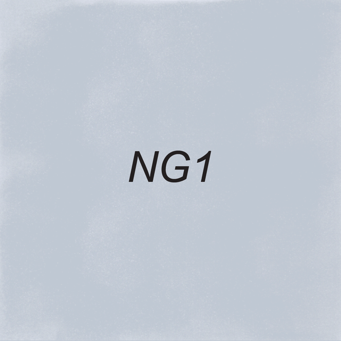 Image of OLO NG1 Neutral Gray 1 which is an OLO marker color.