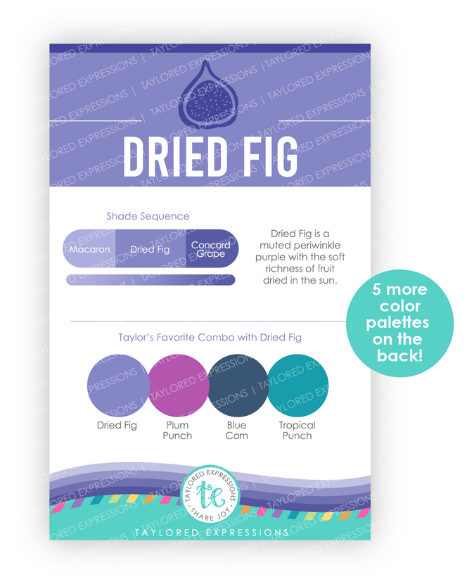 Graphic of Palette Playbook - Dried Fig which is a purple color.