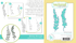 Breezy Boughs Stamp & Stencil Combo + Dies