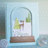 Snow Globe Builder Dies
