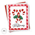 Peppermint Kisses Stencil & Die Combo