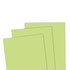 TE Premium Cardstock - Granny Smith