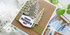 Mix & Match Stamp Set - For Him