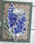 Knock On Wood Background Stamp