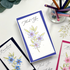 Meadow Aster Stamp & Die Combo