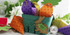 Carrot Treat Box Die Set