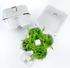 Egg Carton