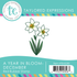 Graphic of the year in bloom - December stamp which is a stamp of the Narcissus flower for papercrafting.