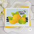 Handmade greeting card with citrus fruit and you're the zest sentiment on it with flowers in background.