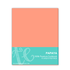 Graphic of TE premium cardstock - Papaya, which is an orange color.